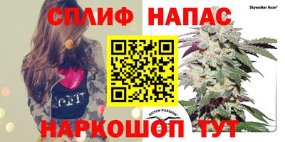 2c-b Пугачёв