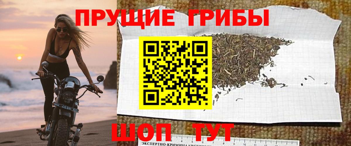 Псилоцибиновые грибы мухоморы Ставрополь