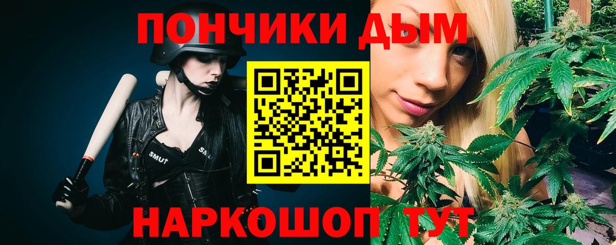 МАРИХУАНА сатива Ставрополь